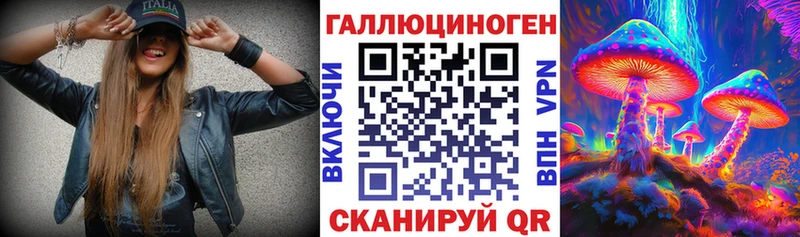 Купить  Новозыбков  Галлюциногенные грибы мицелий 