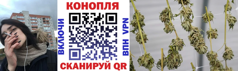 Бошки марихуана конопля  Купить где  Новозыбков 